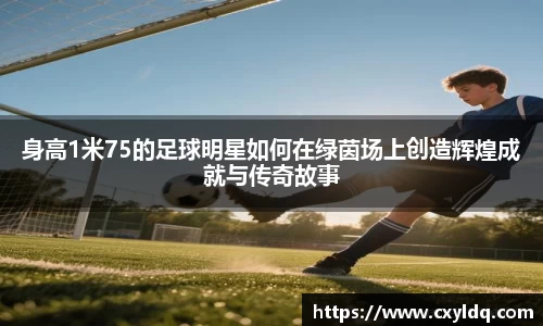 星空·综合体育