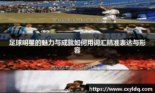 足球明星的魅力与成就如何用词汇精准表达与形容
